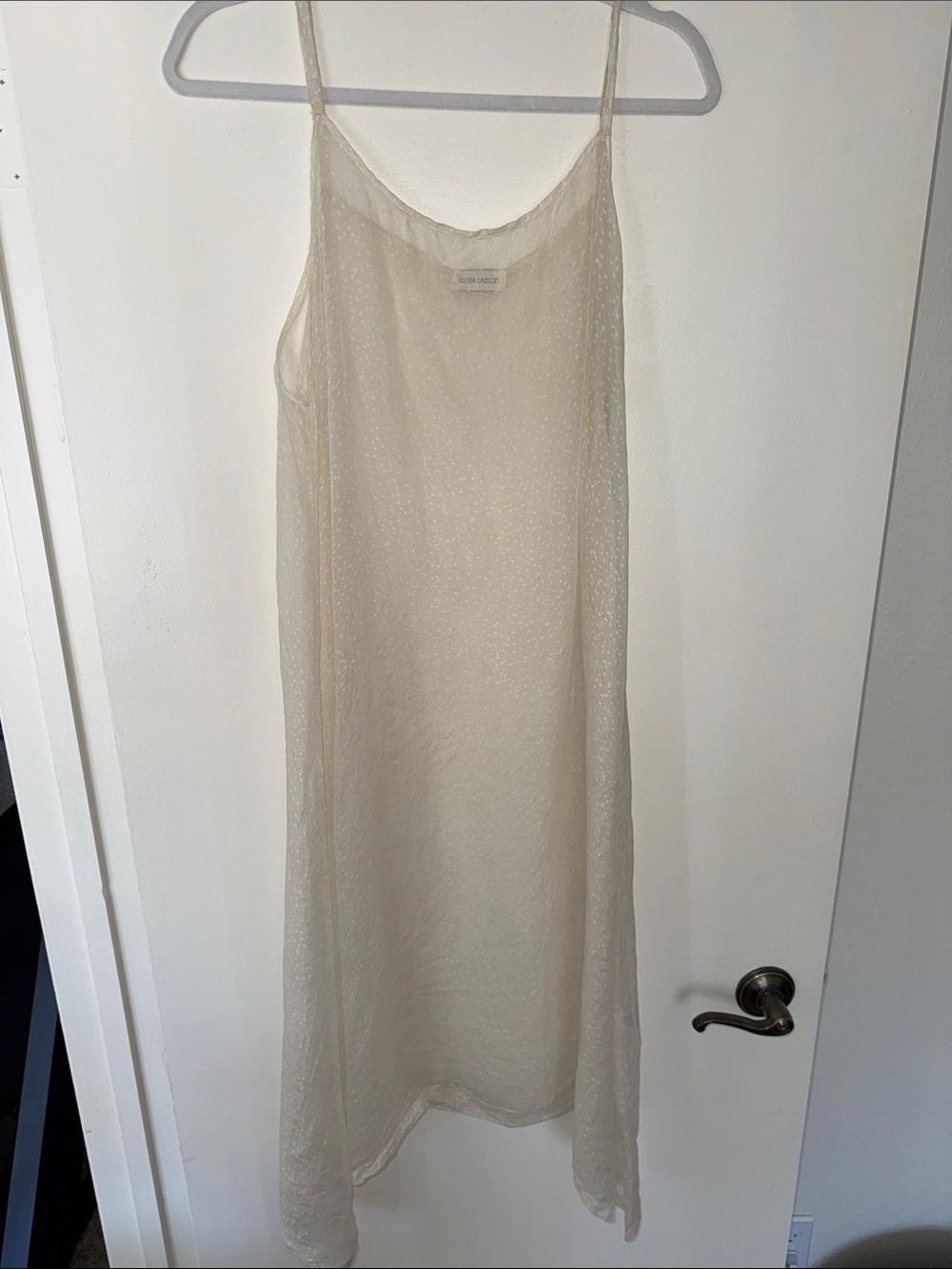 Krista Larson Sheer Slip Dress